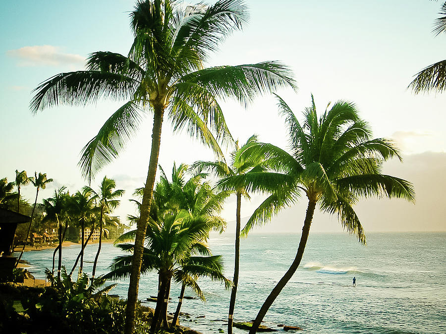 Hawaiian Coast Photograph by Christopher Kimmel