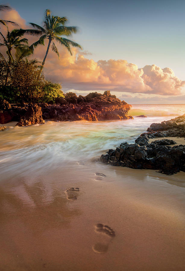 Meet me in the sea / Maui, Hawaii Photograph by Nicholas Parker
