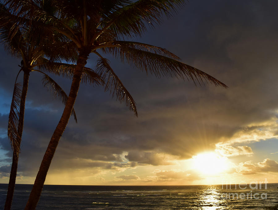 Hawaiian Golden Sunrise Photograph by Debra Banks