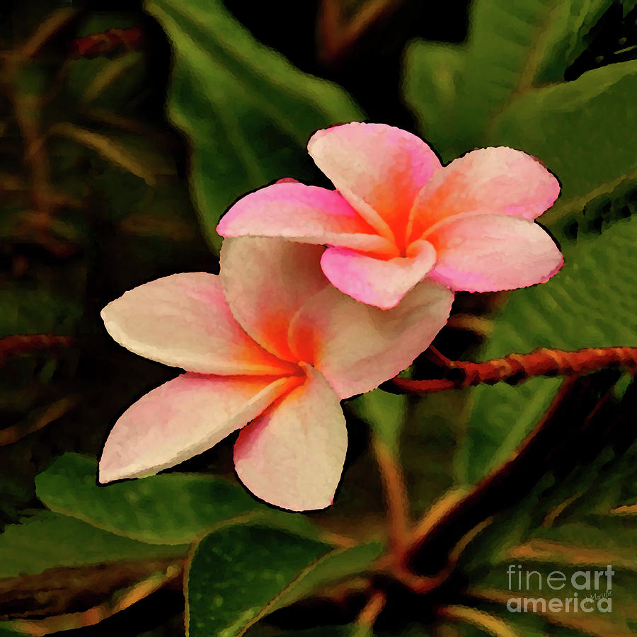 Hawaiian Plueria Flower Pua Mealia Digital Art by J Marielle