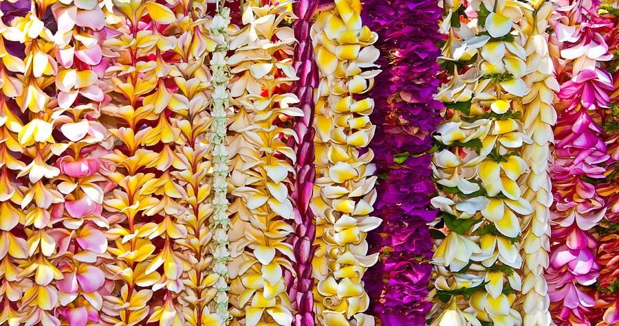 Hawaiian Plumeria Leis Photograph by Angelina Hills