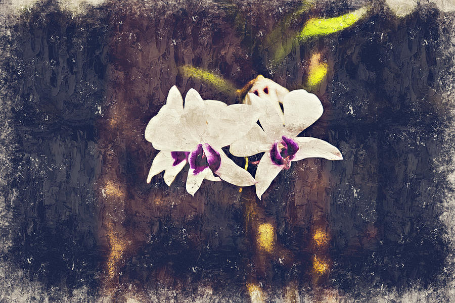 Hawaiian Tree Orchid Digital Art by Pheasant Run Gallery