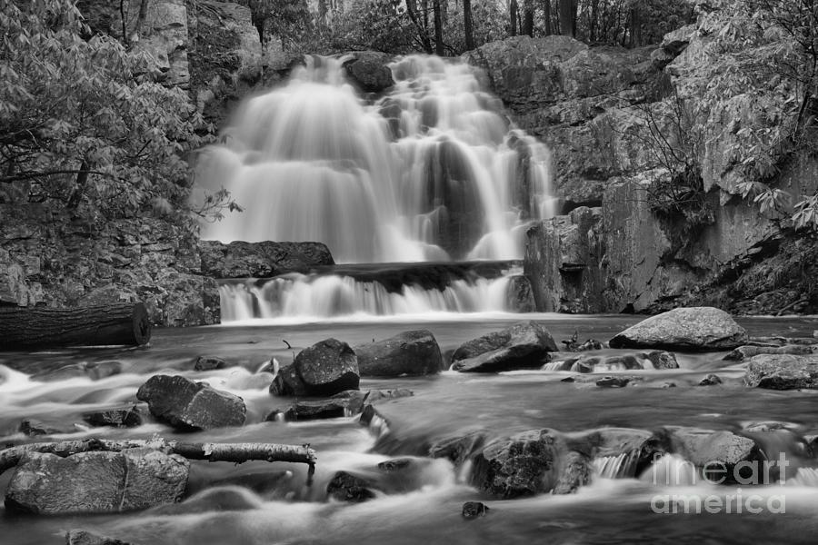 Hawk Falls Colorful Canyon Black And White Photograph by Adam Jewell