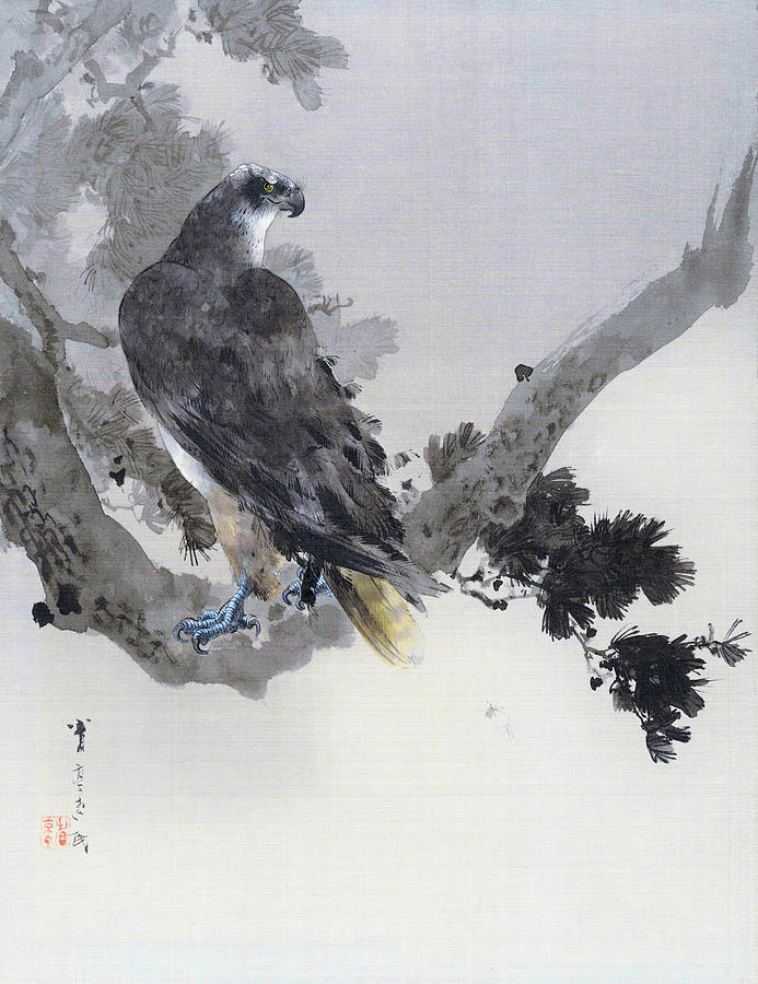 Hawk on Pine tree - Digital Remastered Edition Painting by Watanabe Seitei