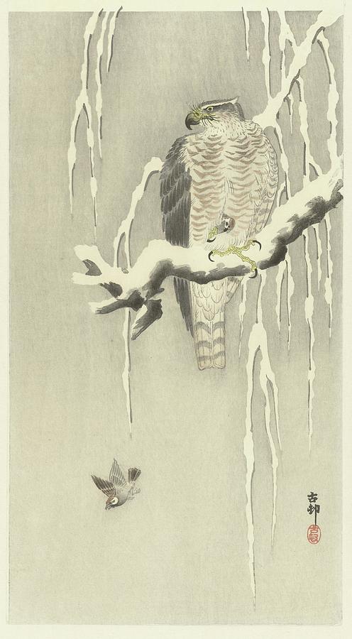 Hawk With Captive Tree Sparrow Painting by Ohara Koson - Fine Art America