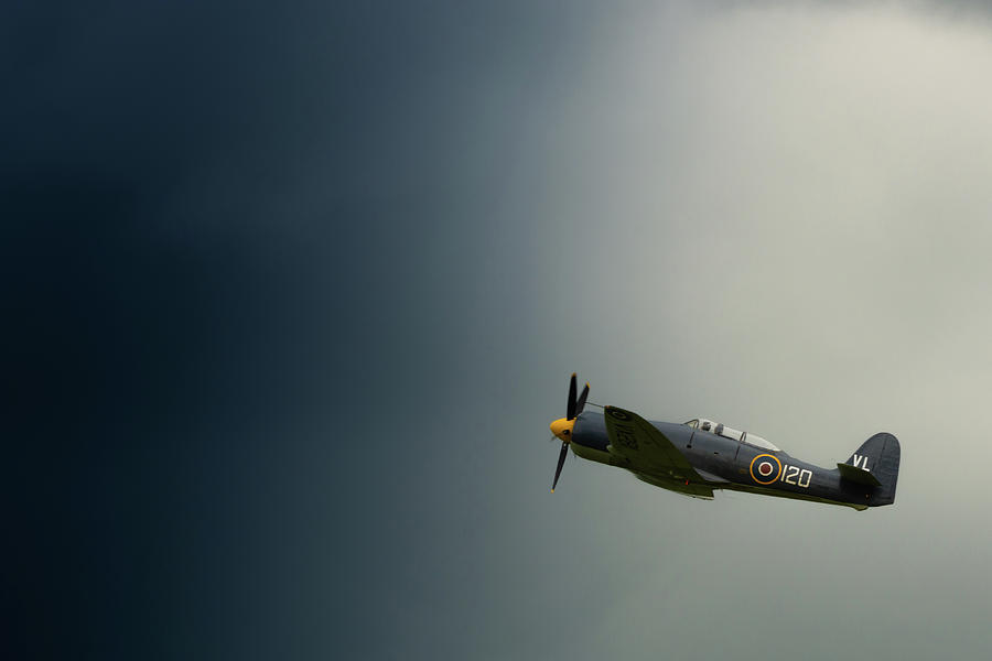 Hawker Sea Fury into the blue Photograph by Scott Lyons