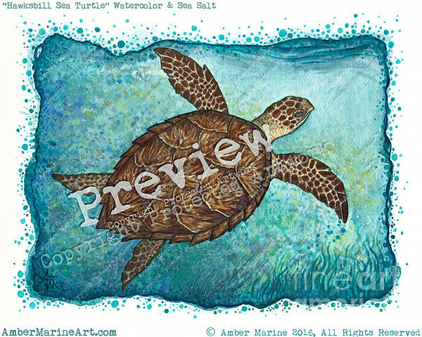 Turtle Painting - Hawksbill Sea Turtle by Amber Marine