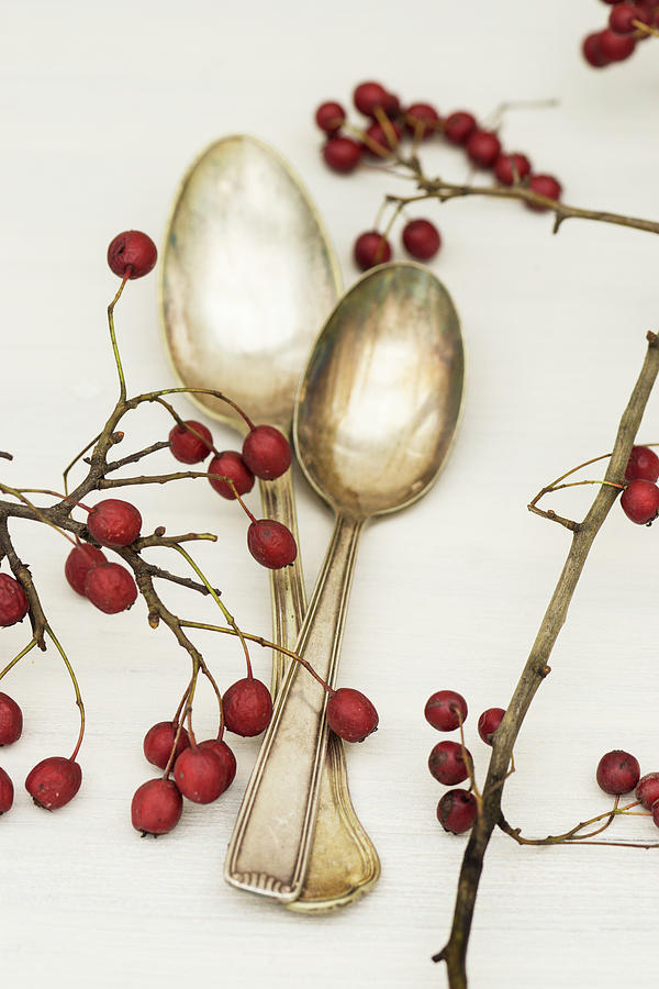 Haws And Silver Spoons Photograph by Martina Schindler
