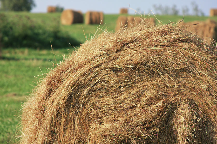 Hay Bail Closeup Photograph by Tatiana Travelways