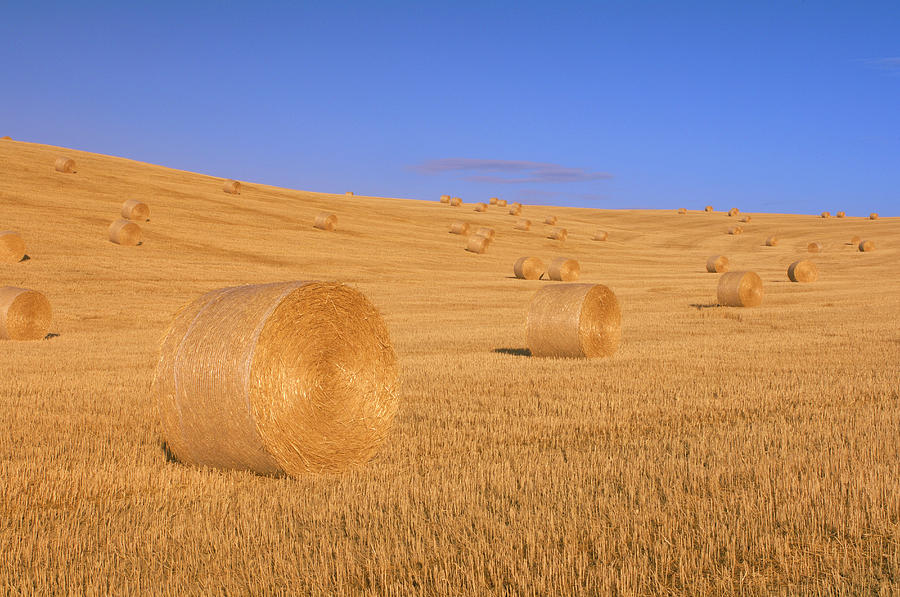 Hay Bale In Field Photograph by Martin Ruegner