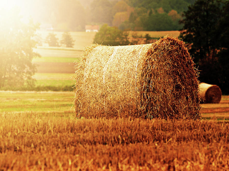 Hay Bale Photograph by Photographe