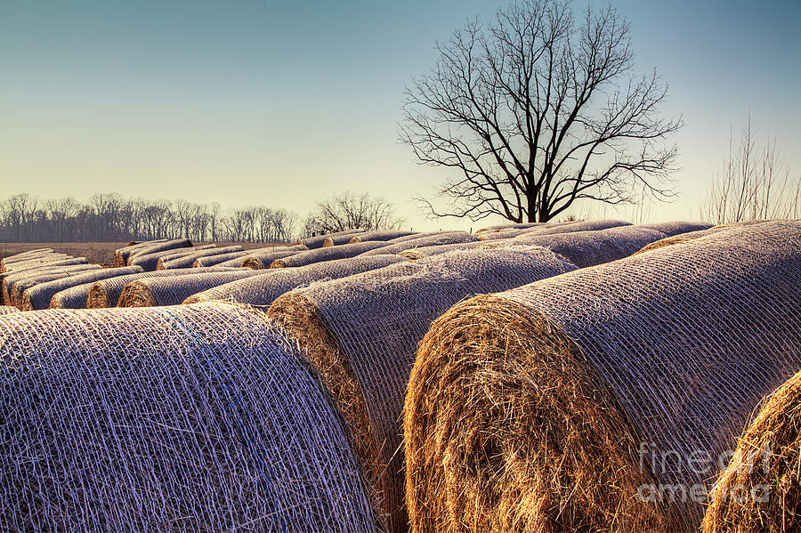 2014 Photograph - Hay Bales At Dusk by Larry Braun 2014 Photograph - Hay Bales At Dusk by Larry Braun