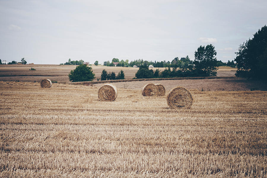 Hay Bales In A Field Photograph by Malgorzata Laniak