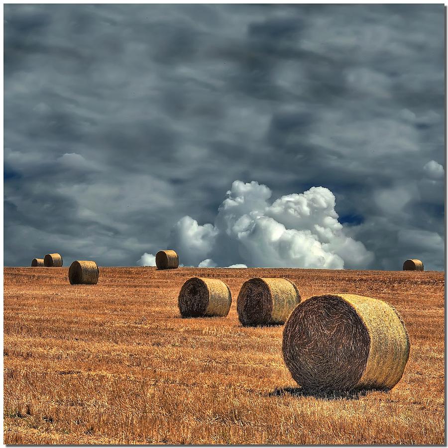 Hay Bales In Field By Nespyxel