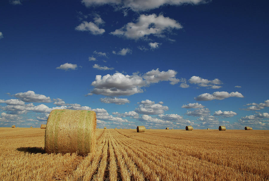 Hay Bales In Field By Photography By Harry Traeger