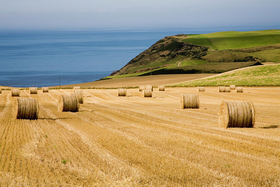 Hay Bales In Field, Scotland Photograph by Diane Macdonald