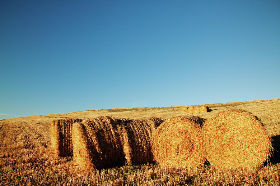 Hay Bales Photograph by Matteo Colombo