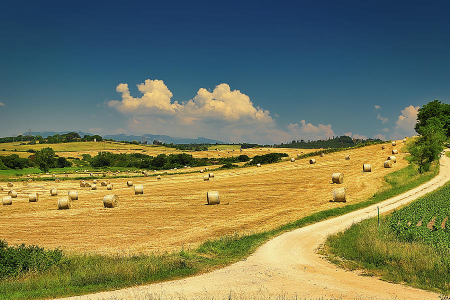 Hay bales on harvested field Photograph by Vivida Photo PC