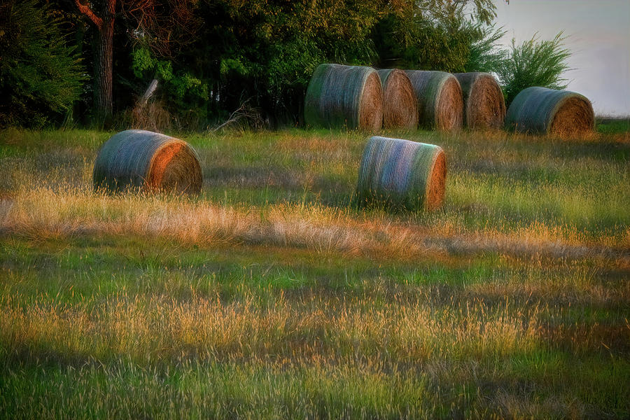 Hay Bales by Patricia Cale Hay Bales by Patricia Cale