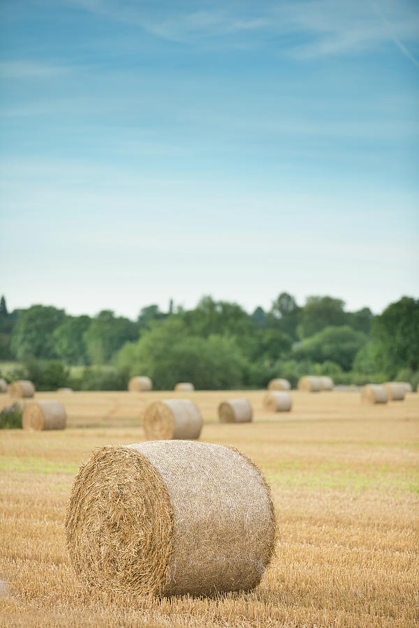 Hay Bales Photograph by Peter Chadwick Lrps