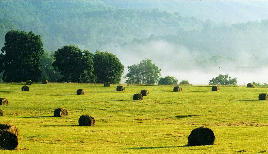 Hay Field on a Foggy Morning Photograph by Lois Tomaszewski