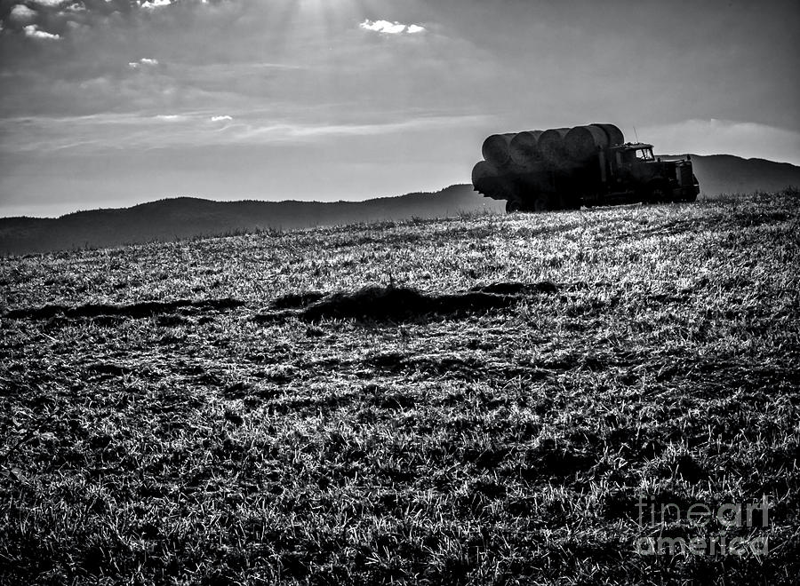 Hay Field Transport No. 02 - BW Photograph by James Aiken