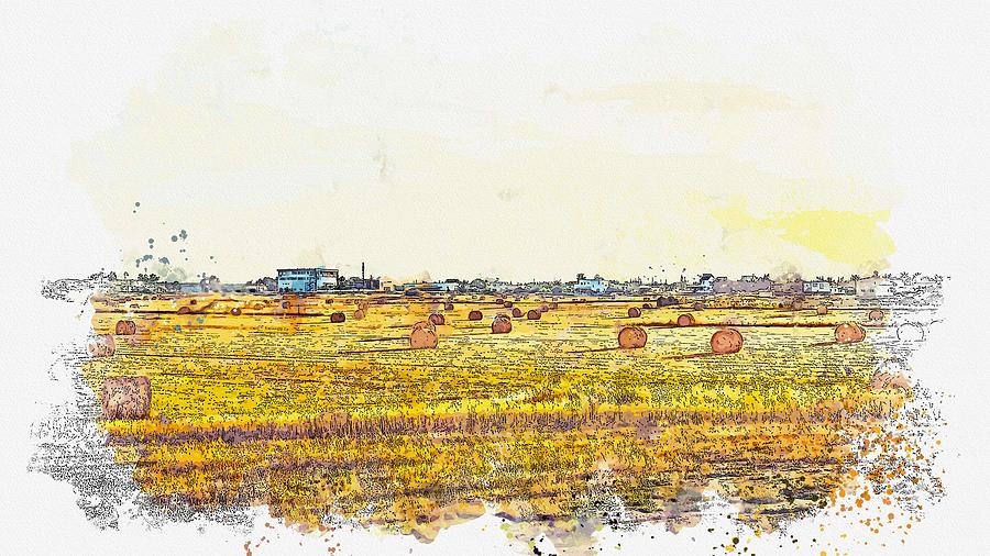 Hay Field -  watercolor by Ahmet Asar Painting by Celestial Images