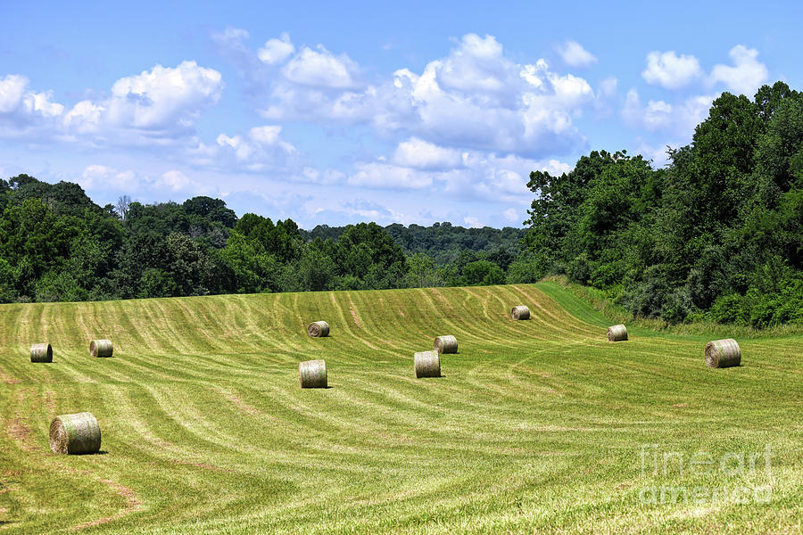Hay Fields of Virginia Photograph by Kerri Farley