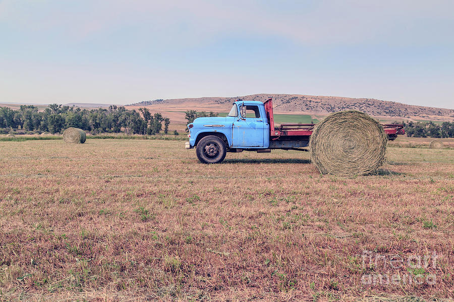 Hay Harvest Montana Photograph by Edward Fielding