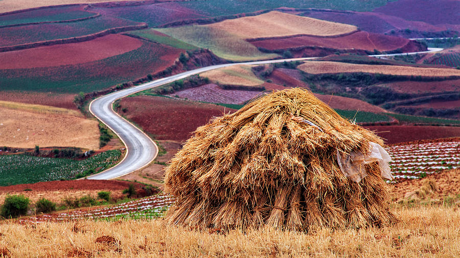 Hay stack in filed with colorful patchy land of red earth area in backgroun...