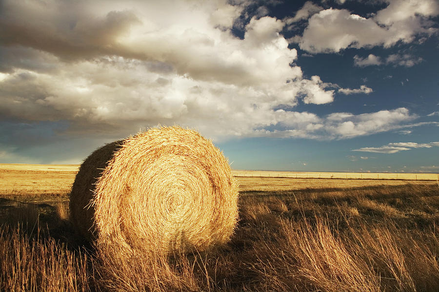 Hay Roll, In Field, Autumn Photograph by Walter Bibikow