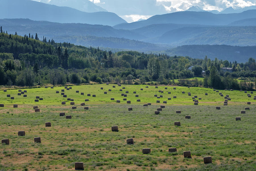 Hay Season in British Columbia Photograph by Mary Lee Dereske