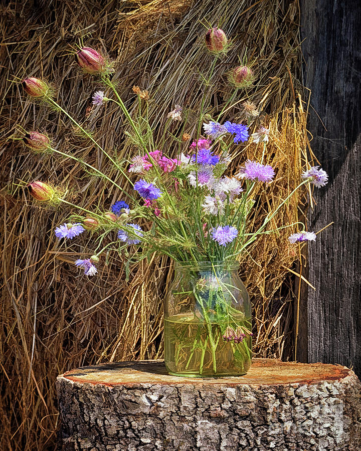 Hay Stack Bouquet Photograph