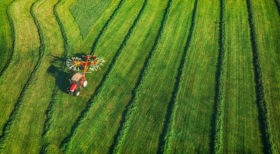 Hay Time Photograph by Guy Krier - Fine Art America