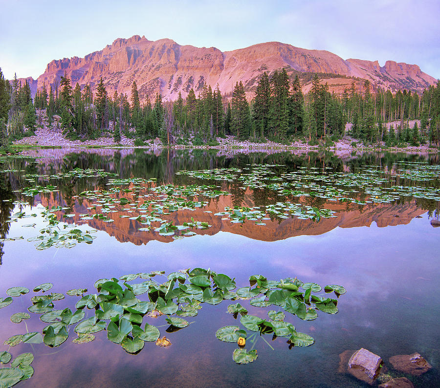 Hayden Peak And Butterfly Lake, Uinta Range, Utah Photograph by Tim Fitzharris