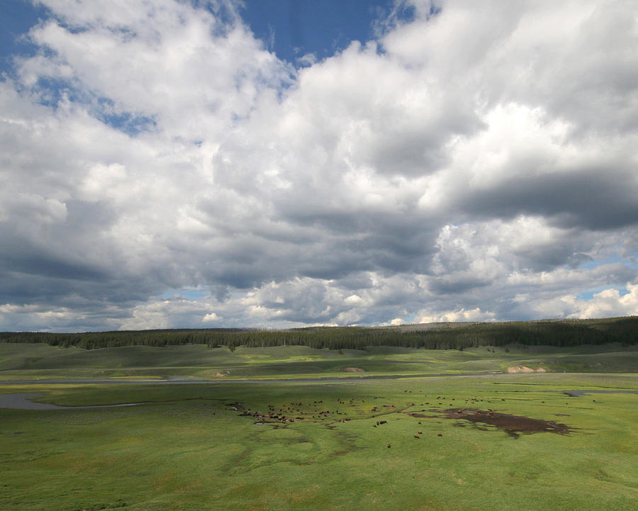 Hayden Valley Photograph by Cherie Swanson - Fine Art America