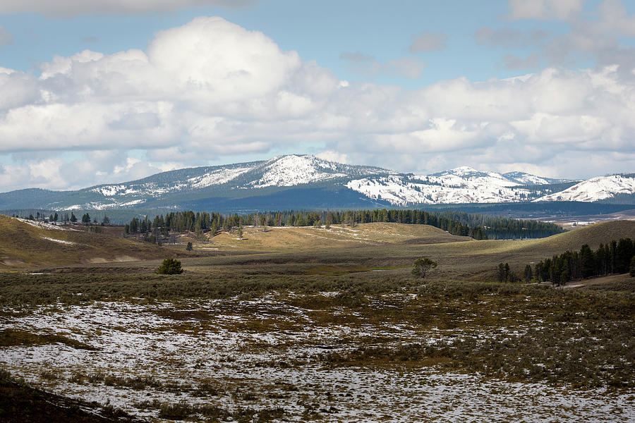 Yellowstone National Park Photograph - Hayden Valley by Rod Gimenez