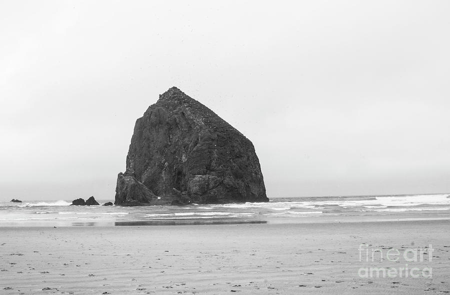 Beach Photograph - Haystack by David Bearden