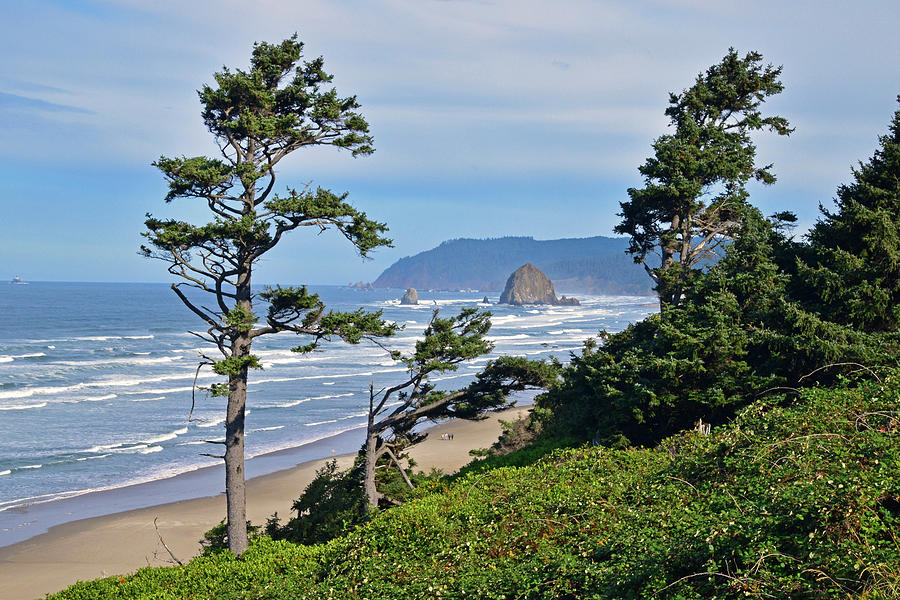 Haystack Rock and Cannon Beach Photograph by Curt Remington | Fine Art ...