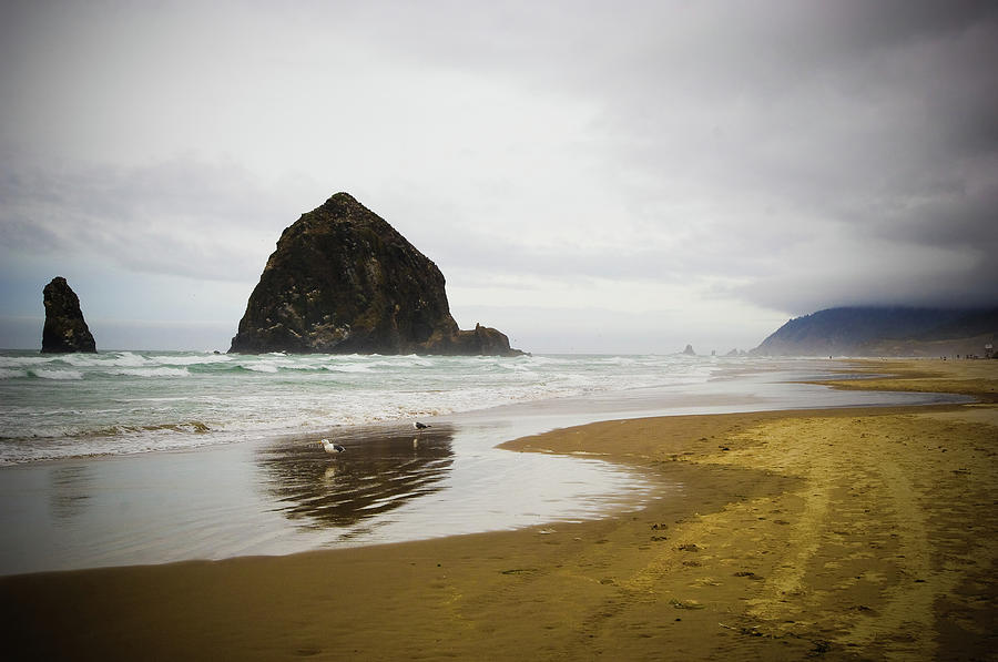 Haystack Rock Reflections On Stormy Day Photograph by Douglas Macdonald