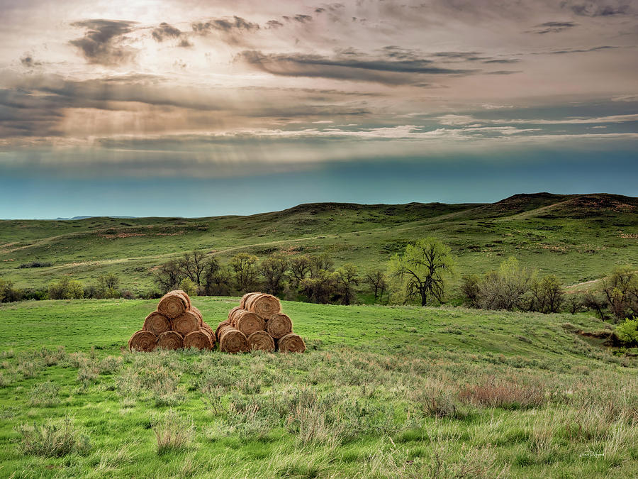 Haystacks in East Montana. Photograph by Leland D Howard