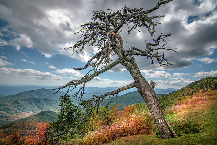 Hdr Fall Foliage Starting To Show In Blue Ridge Parkway Photograph