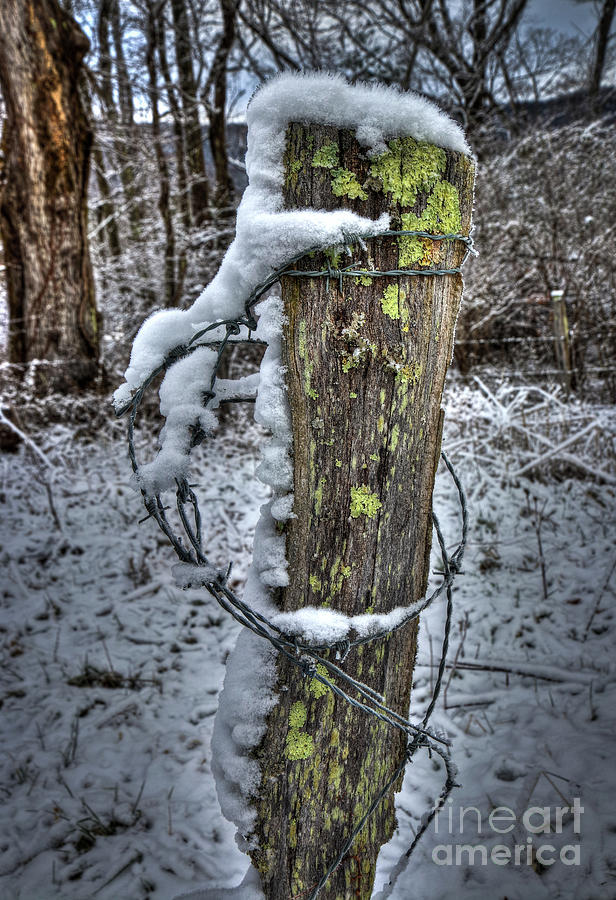 HDR Fence Post Photograph by Douglas Stucky