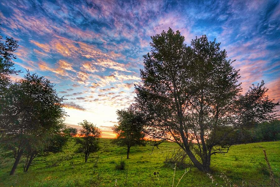 HDR Tree Sunrise Photograph by Kyle Mock - Fine Art America