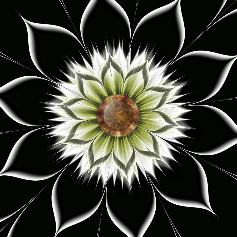 Flower Digital Art - He Loves Me by Fractalicious