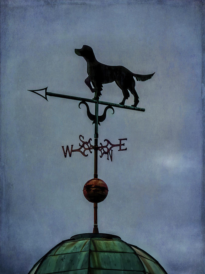 He Went That-a Way - Weather Vane Photograph