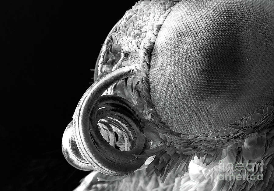 Head by Beauty of Science Head by Beauty of Science