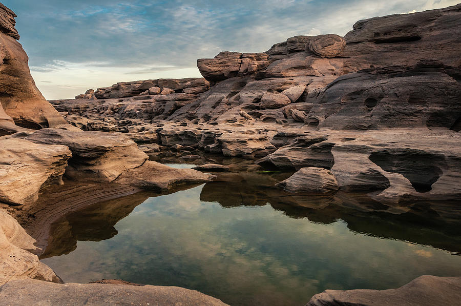 Head Dog Stone by Kwanchai k Photograph