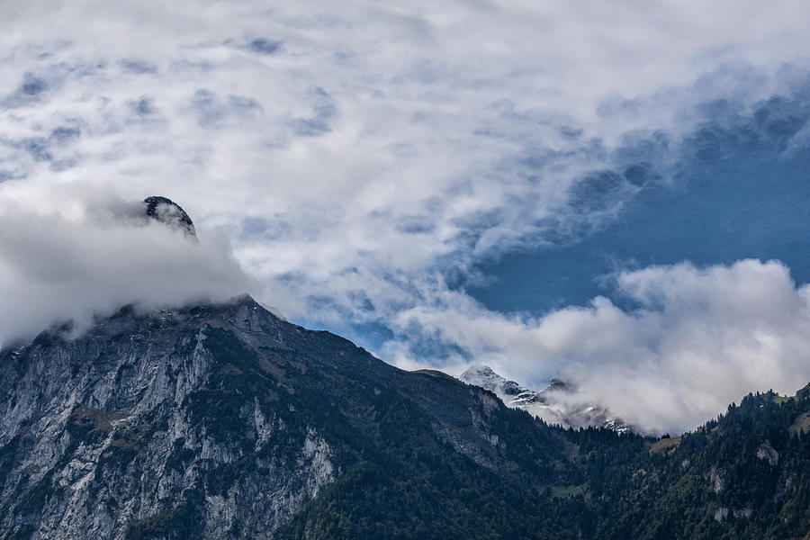 Head in the Clouds Photograph by Phyllis Taylor | Fine Art America