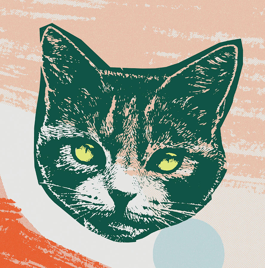 Vintage Drawing - Head of a Cat by CSA Images